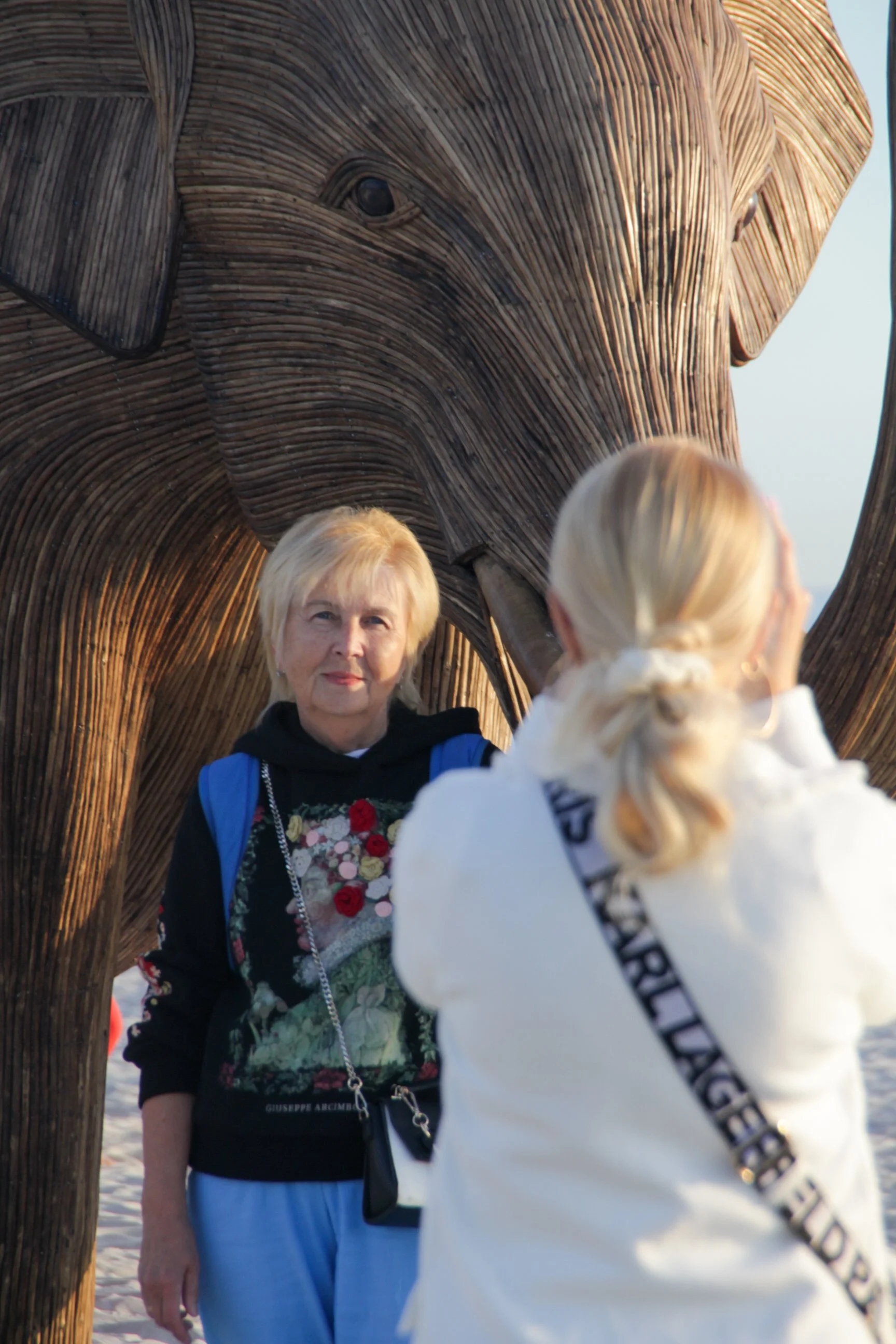 Great Elephant Migration-12.jpg