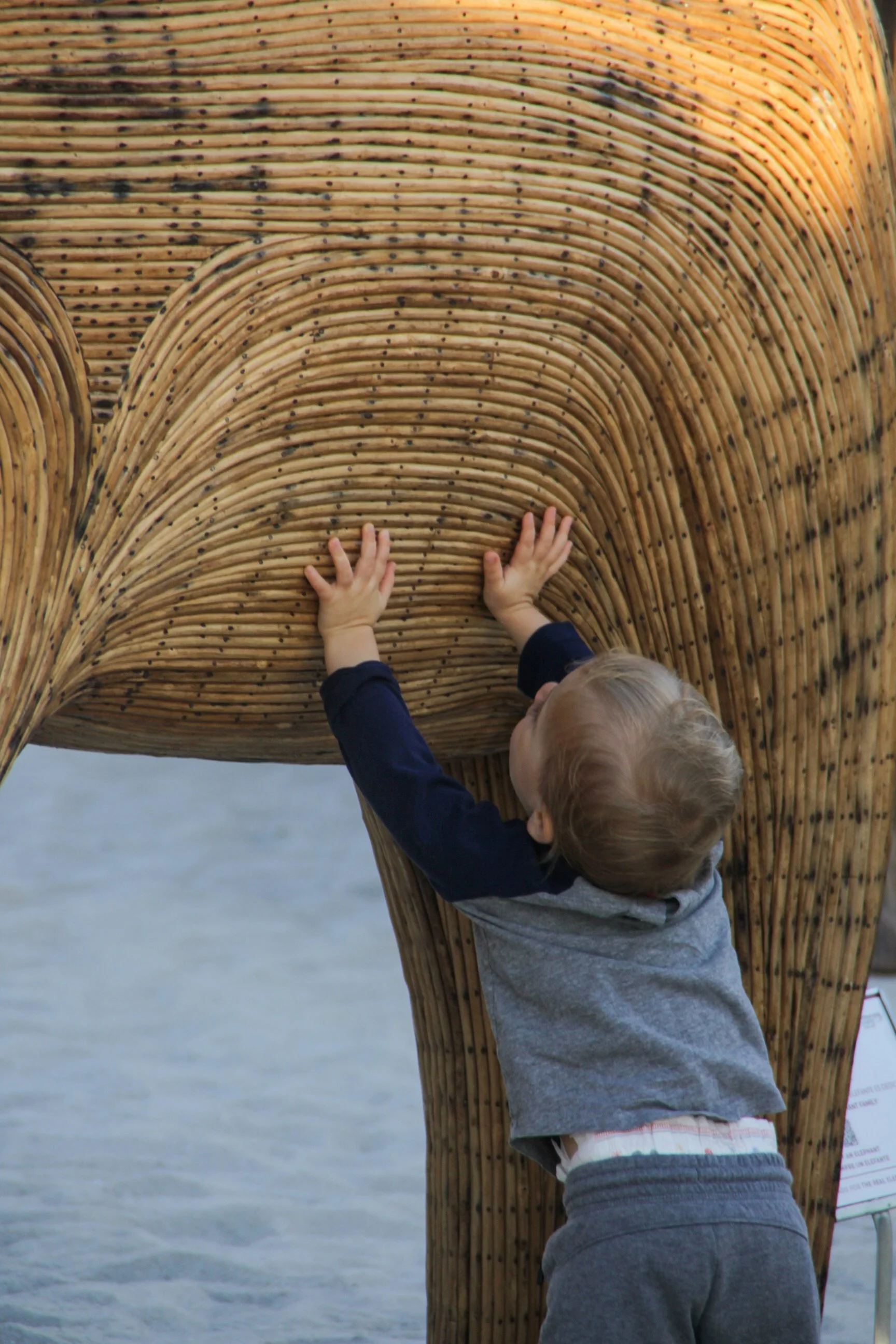 Great Elephant Migration-17.jpg