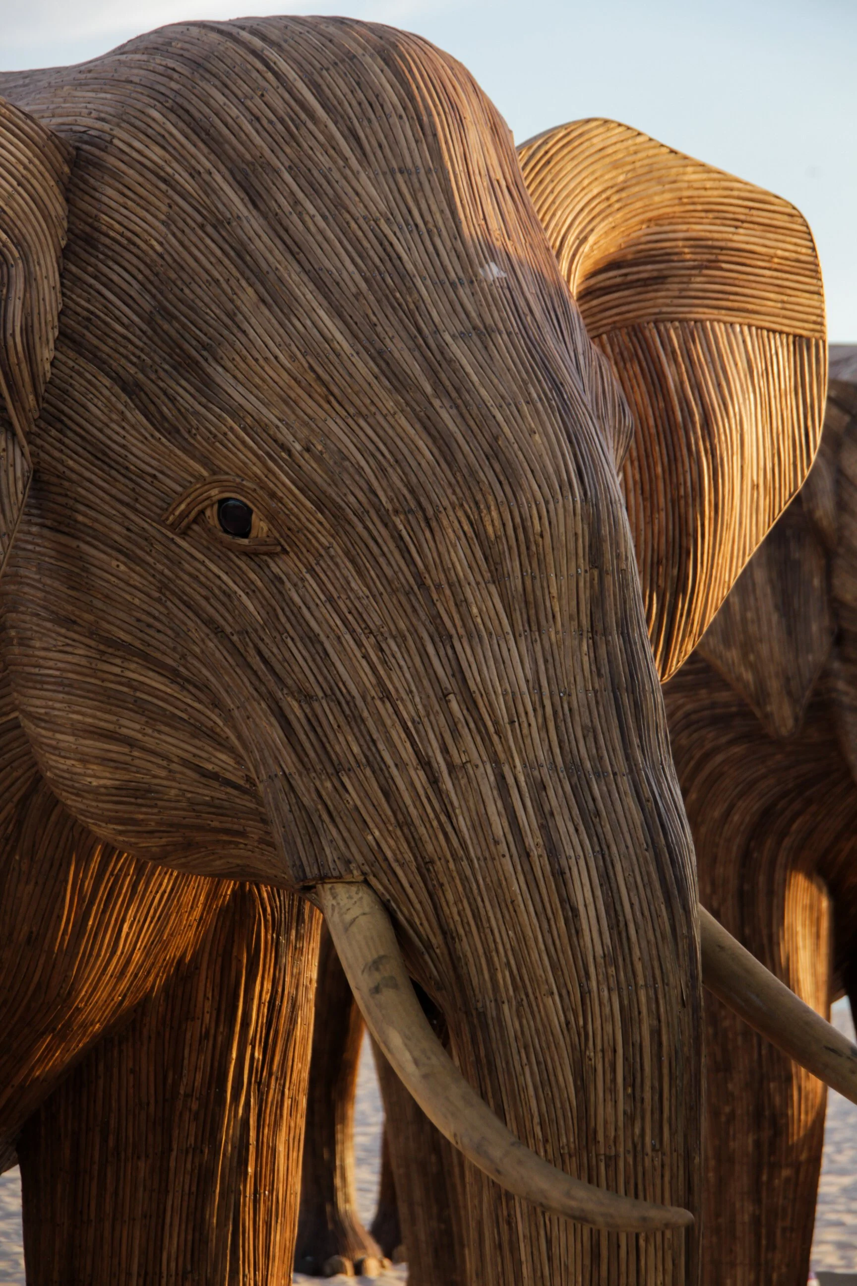 Great Elephant Migration-04.jpg