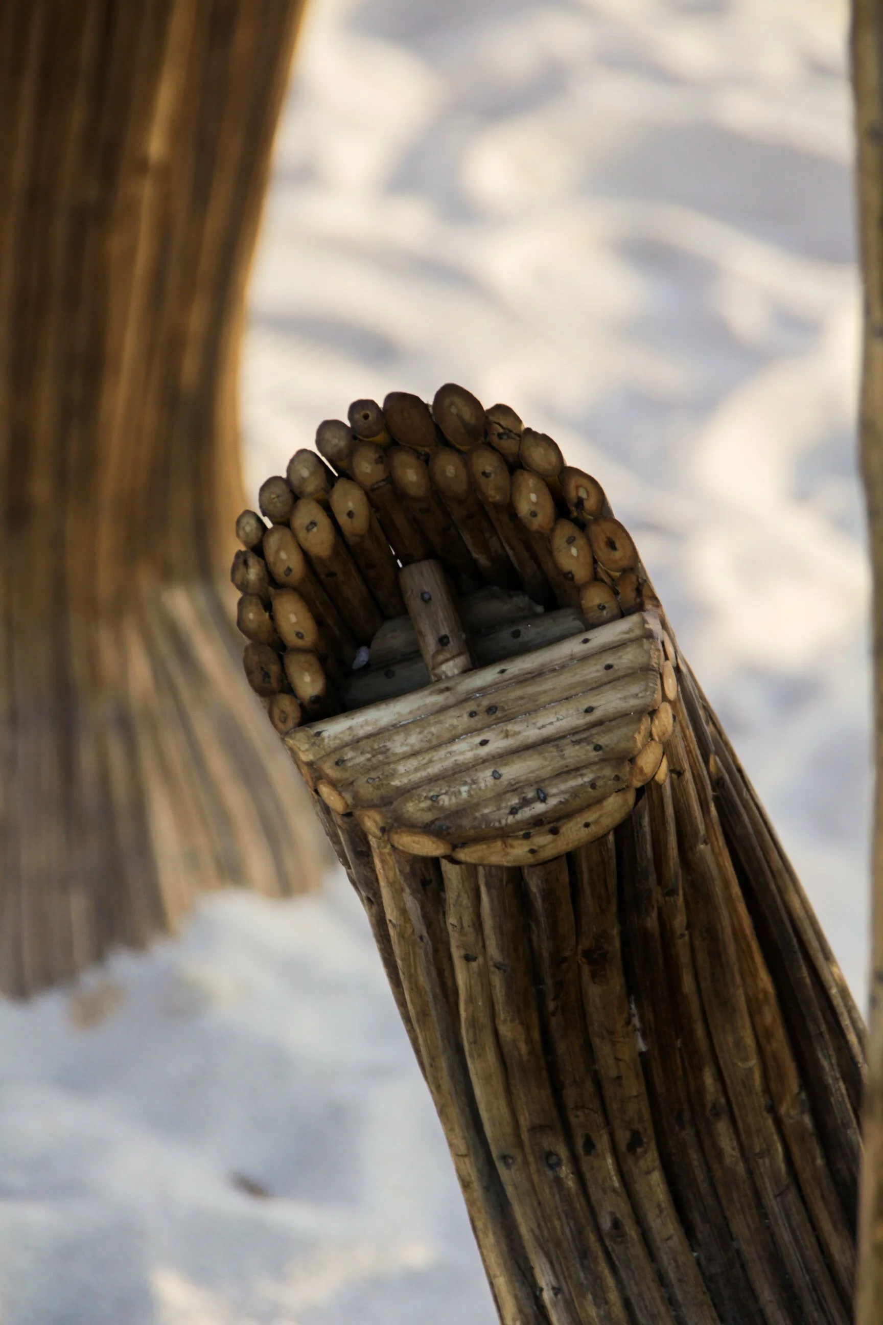 Great Elephant Migration-02.jpg