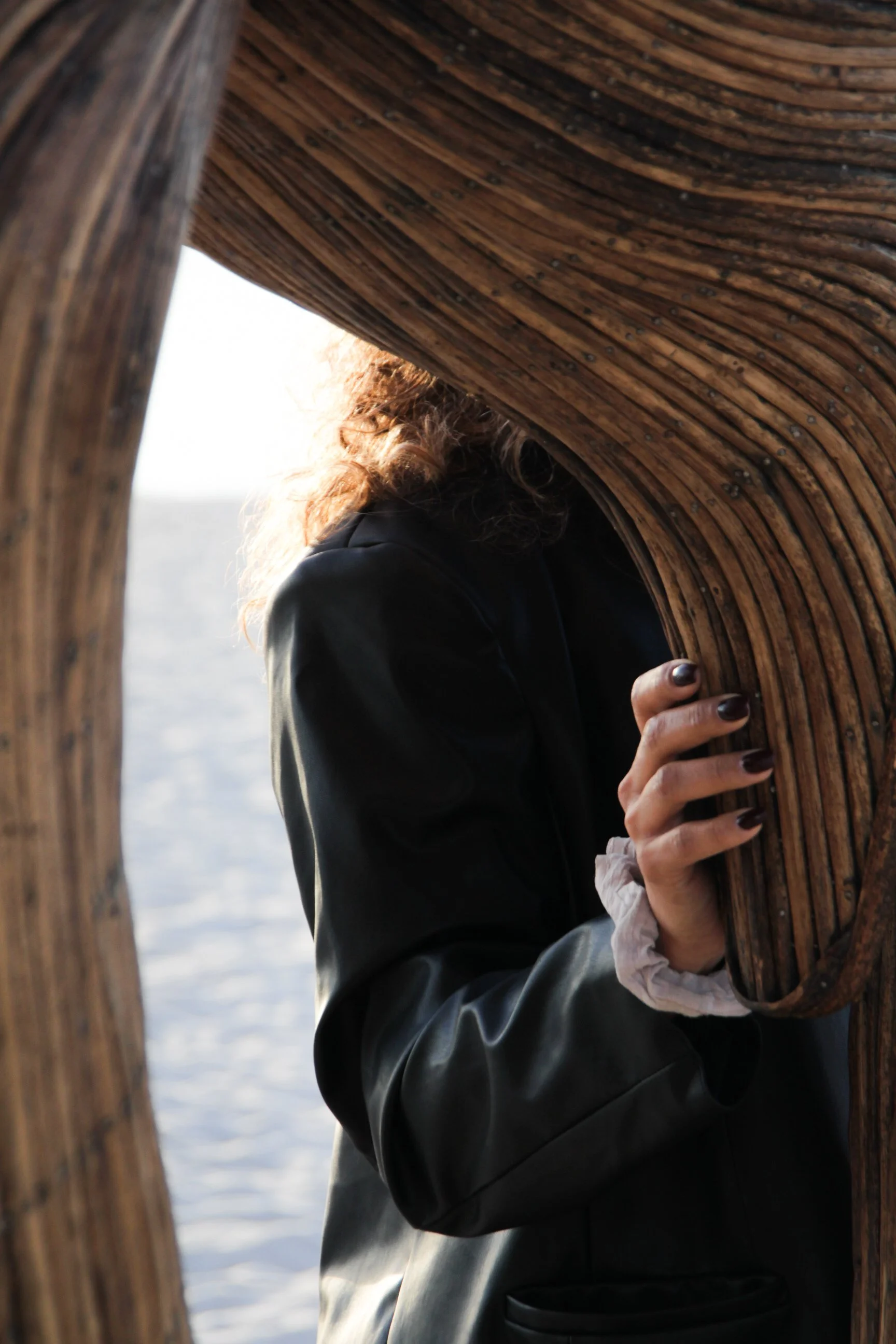 Great Elephant Migration-03.jpg