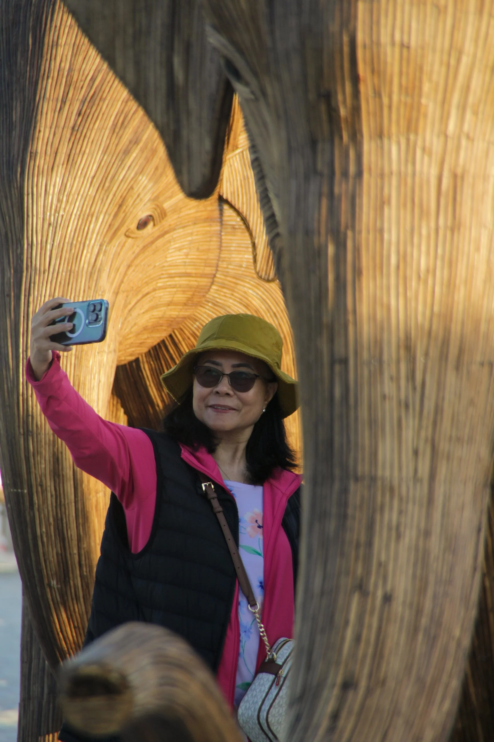 Great Elephant Migration-10.jpg