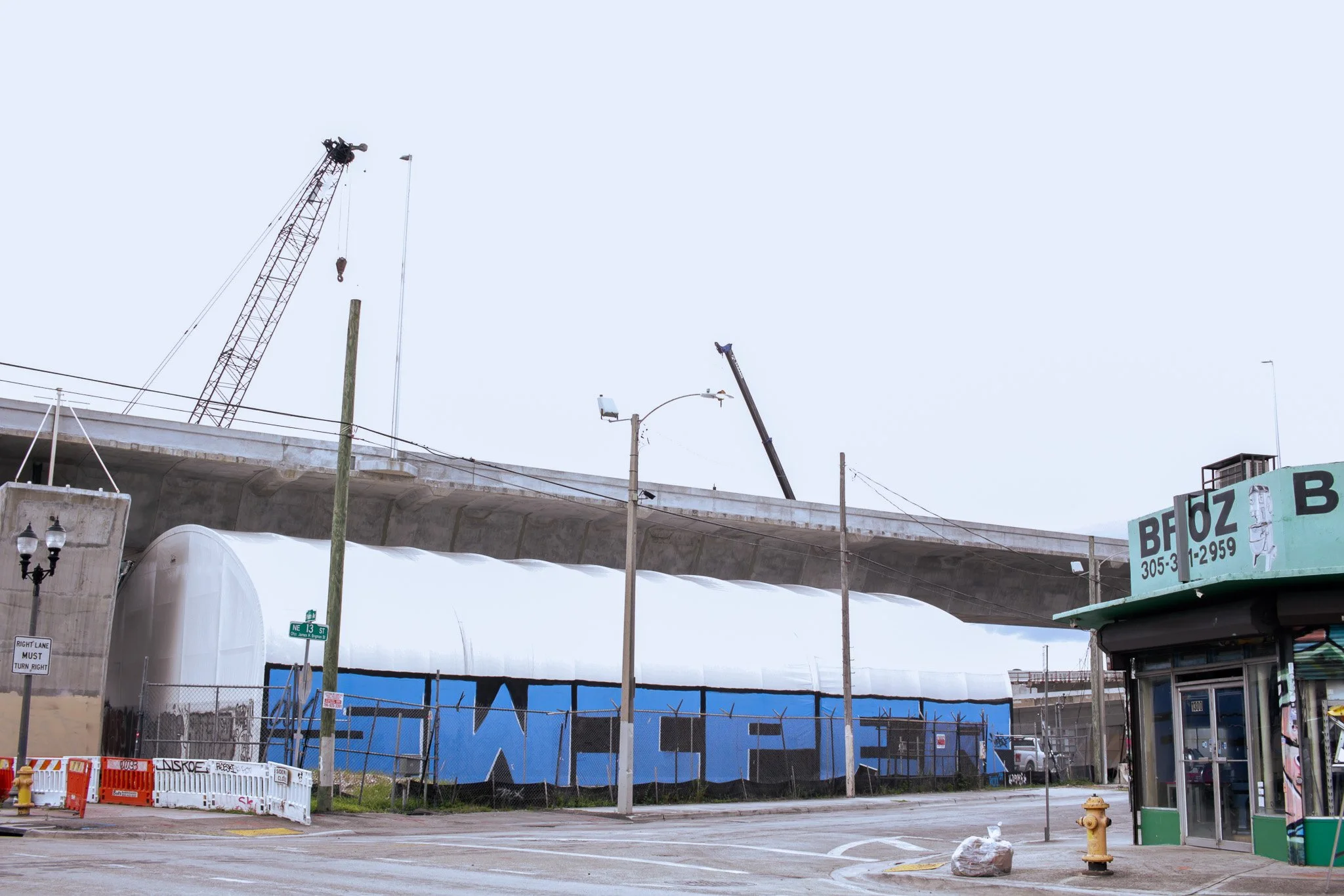 IMG_7907.JPG yes.jpg