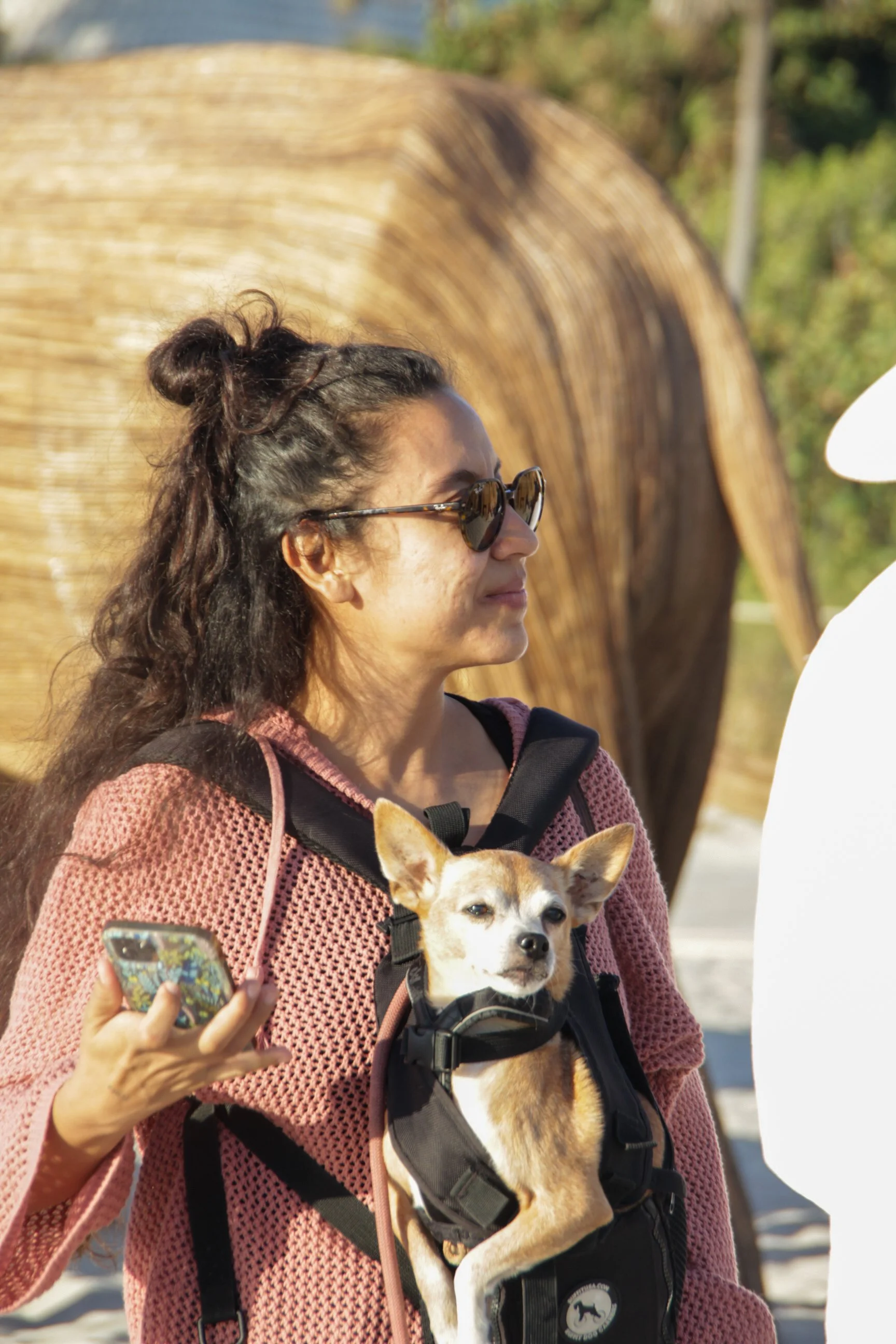 Great Elephant Migration-28.jpg