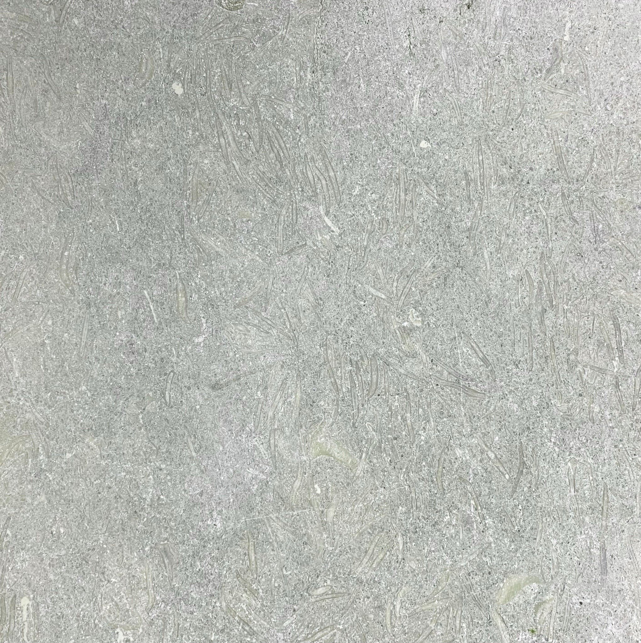 Image 27.jpeg