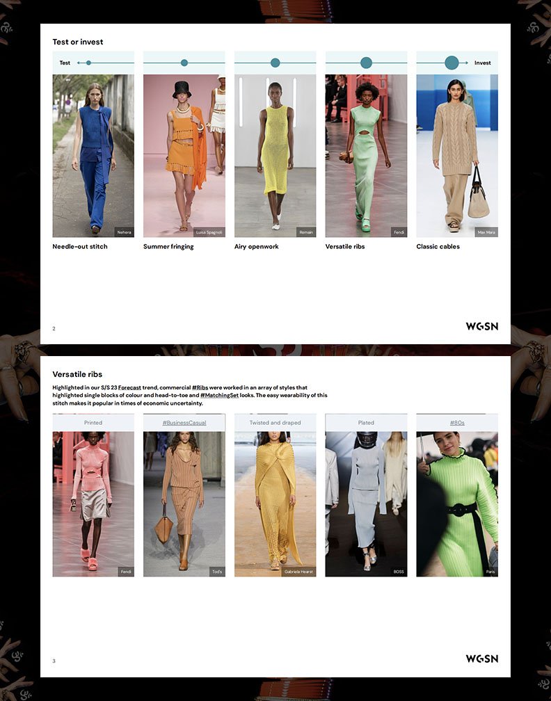 Astitva WGSN Research 4 copy.jpg