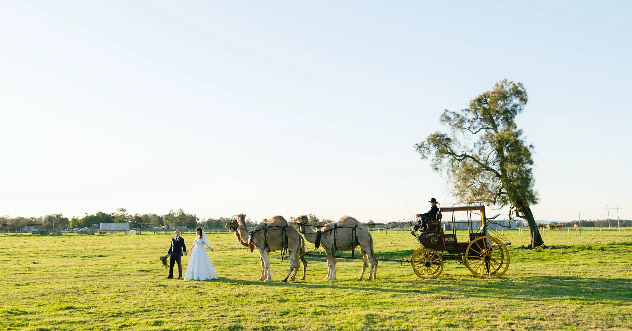 Woodberry Wedding