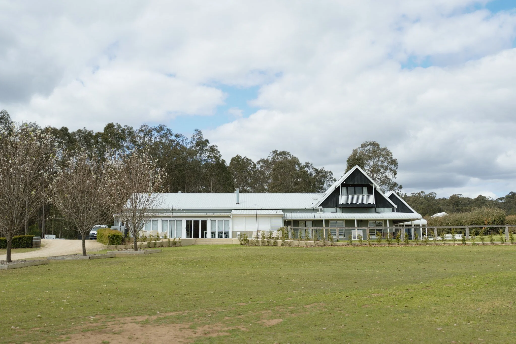 Squire's Vineyard Viewed from the Lawn
