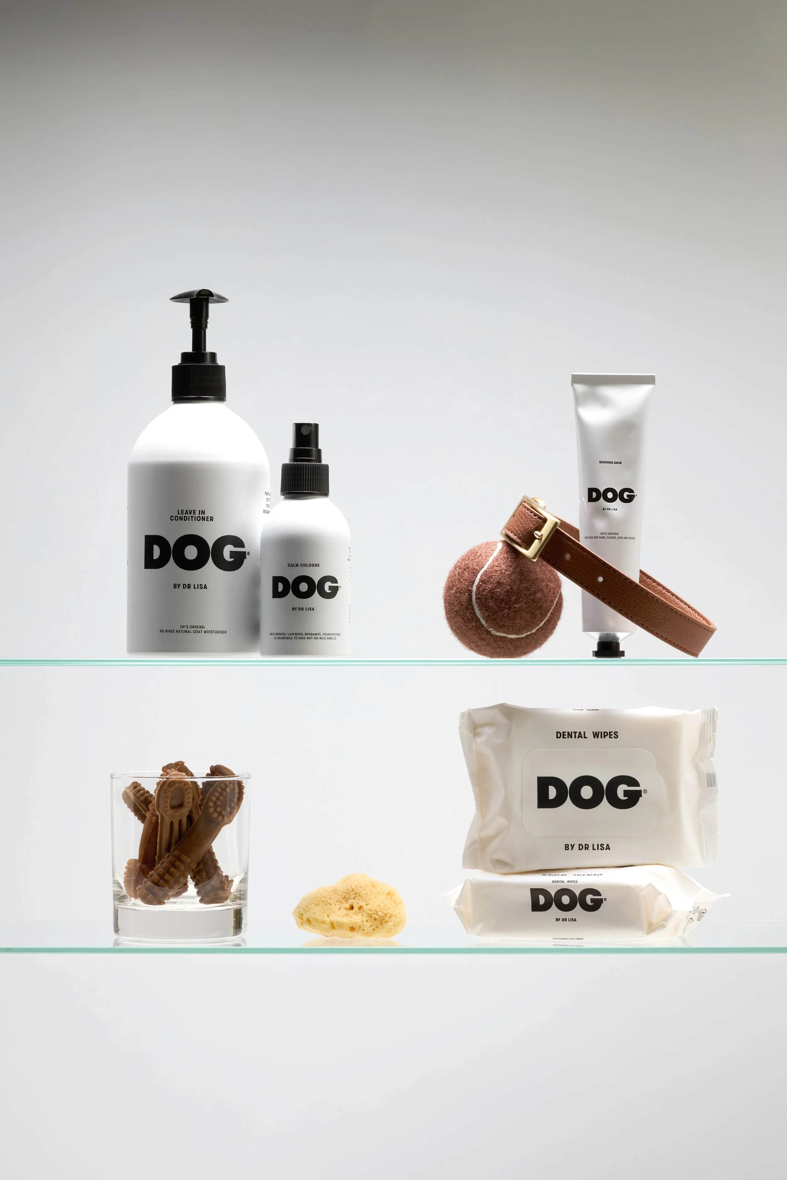 DOG4231.jpg
