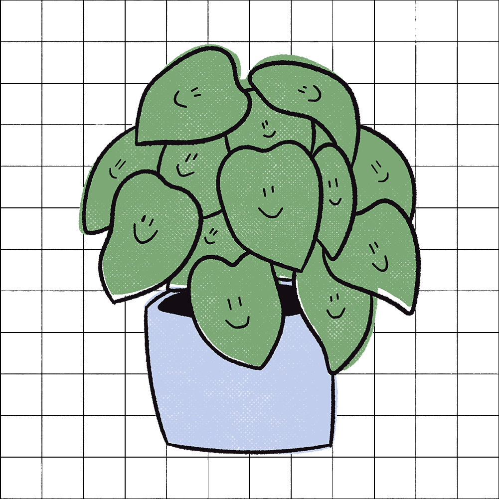 website designer Perth