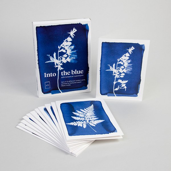 Set van 12 Botanische Cyanotype Wenskaarten