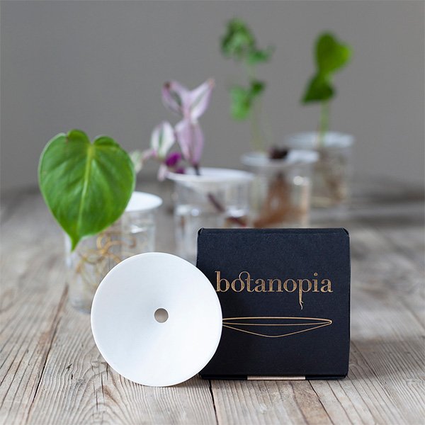 Germination-plate-size-S-By-Botanopia.jpeg