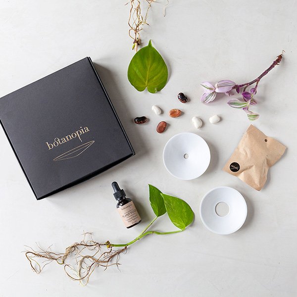 Germination-giftbox-by-Botanopia.jpeg