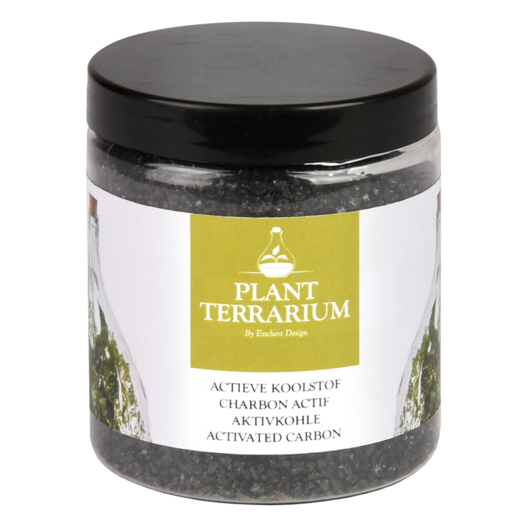 Plant terrarium actieve koolstof