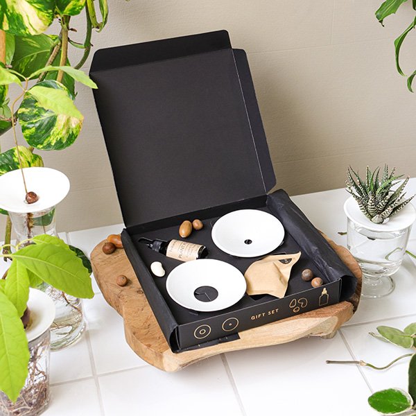 Germination-giftset-by-Botanopia-1.jpeg