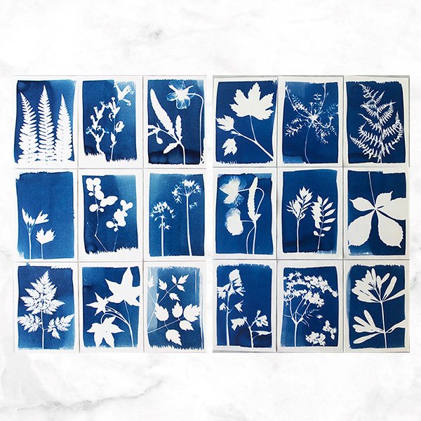 Cyanotype-kit-results-by-Botanopia.jpeg