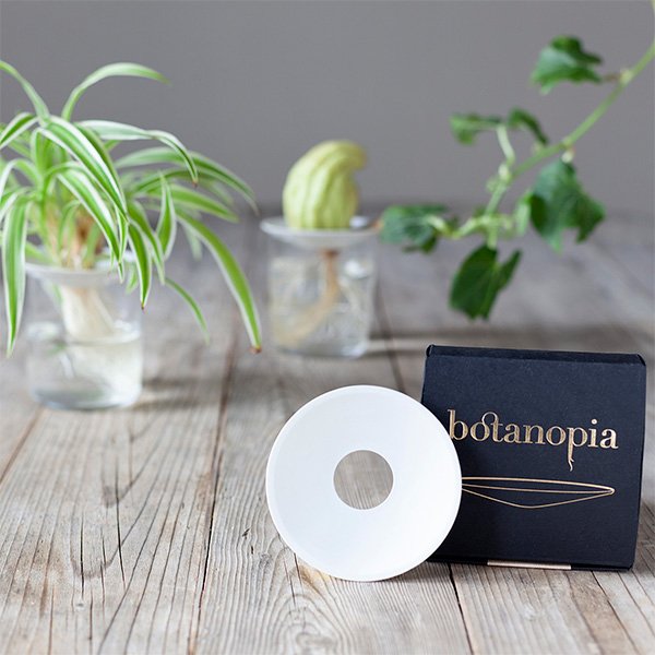 Germination-plate-size-L-by-botanopia-5.jpeg