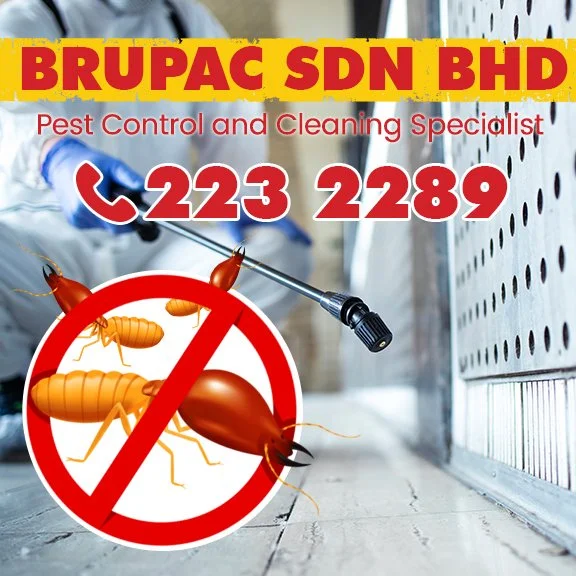 Brupac Sdn Bhd