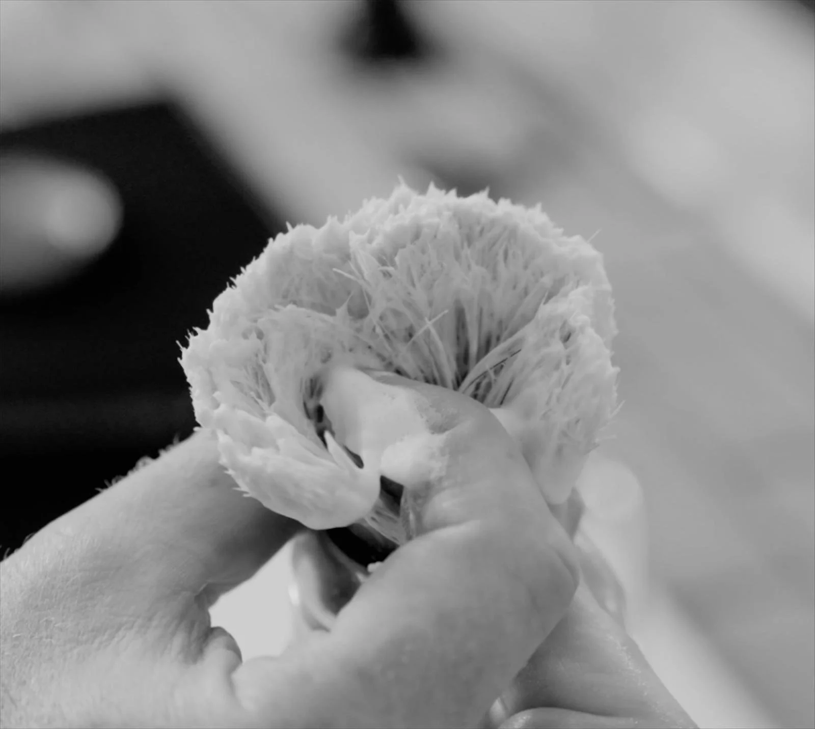 WhatsApp Image 2025-11-20 at 17.04.45 (3).jpeg