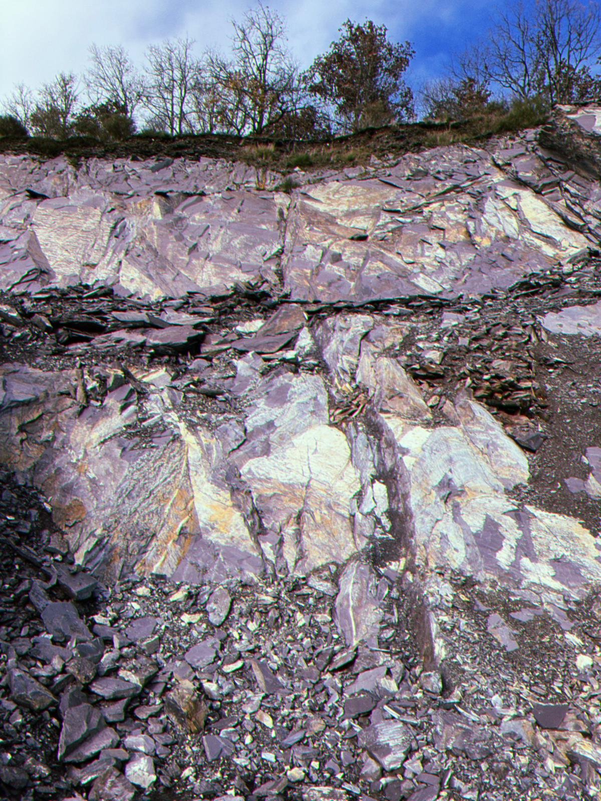 WhatsApp Image 2025-12-17 at 19.40.02.jpeg