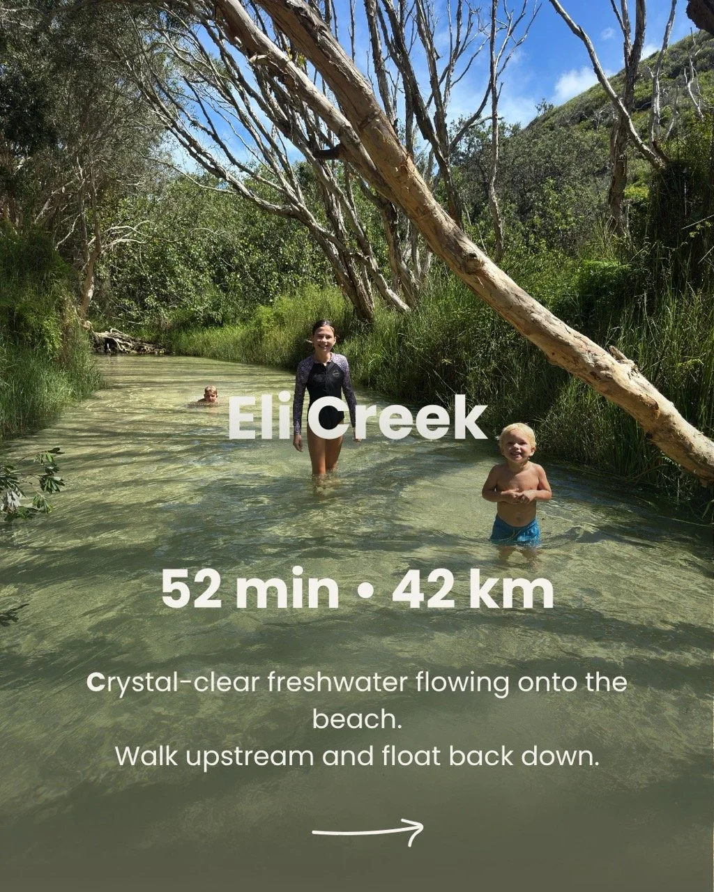 Eli Creek orchid beach travel times