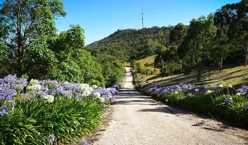 Driveway.jpg