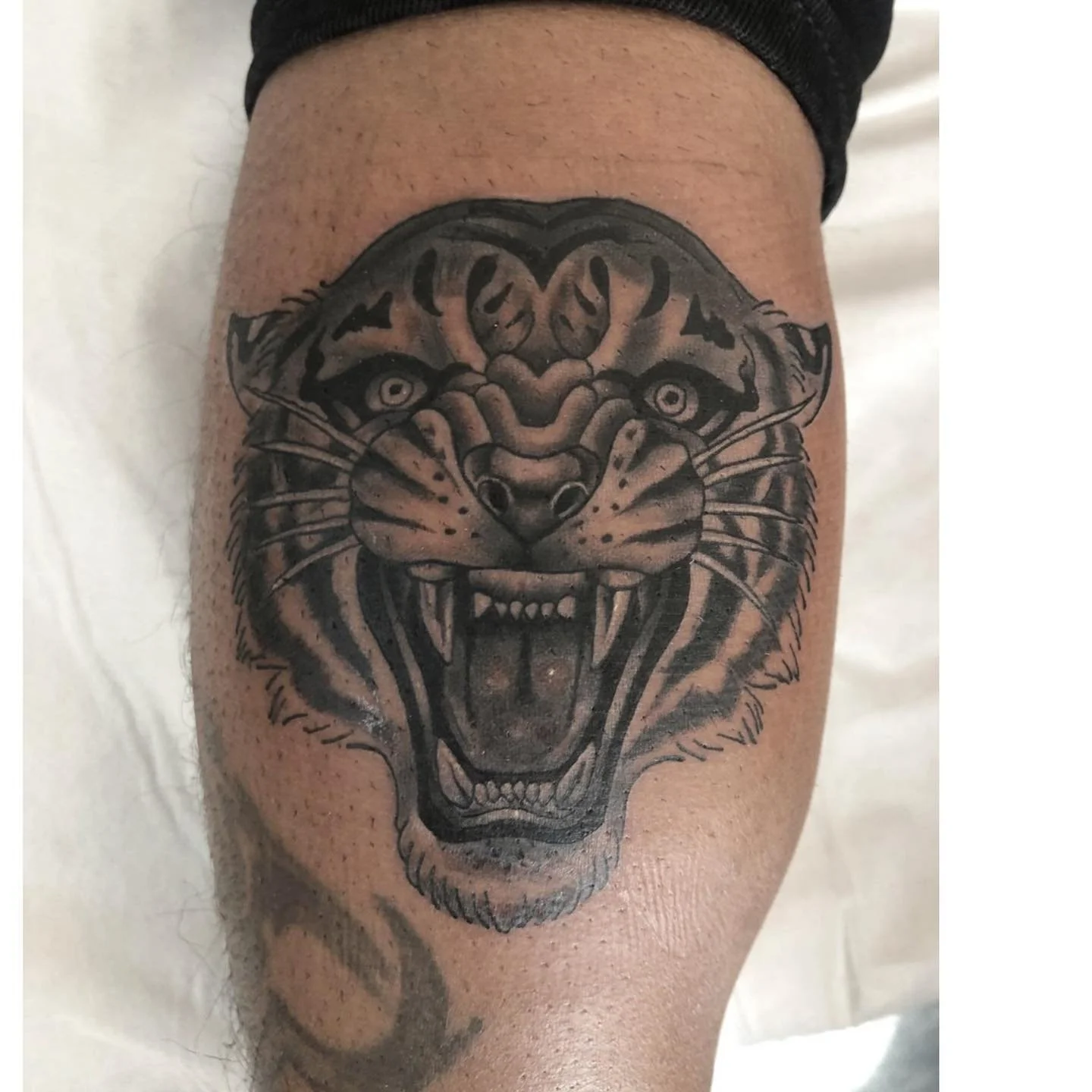 Tiger done for @the_surgeon_ 🤘🏻thanks for the trust bro  @tattooedkingsaftercare @salvage_cartridge_za  #neotraditionaltattoo #tiger #tigertattoo #tigerhead #neotraditional #tattoo #tattoostudio #tattooartist #ink #neotraditionaltigertattoo