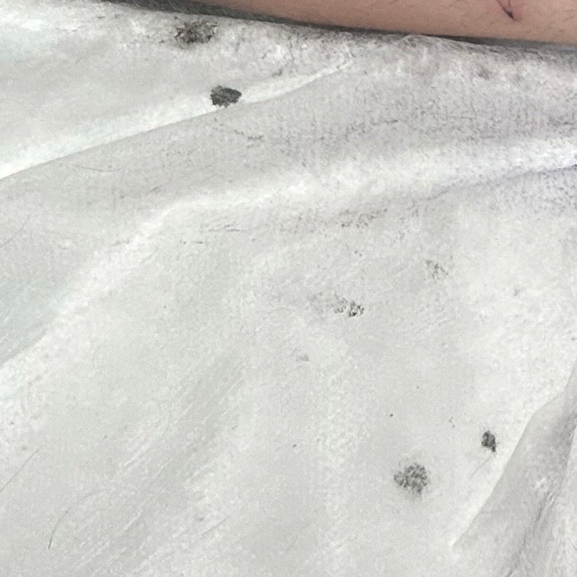Eye-Ball
#tattoo #art #eye #eyeart #eyetattoo #filagree #filagreetattoo #eyefilagree #armart #beauti #beautiful #insta #instagram #beautiful #artist #tattooart #tattoos #eyecandy #stunning #ladies #women #instawomen