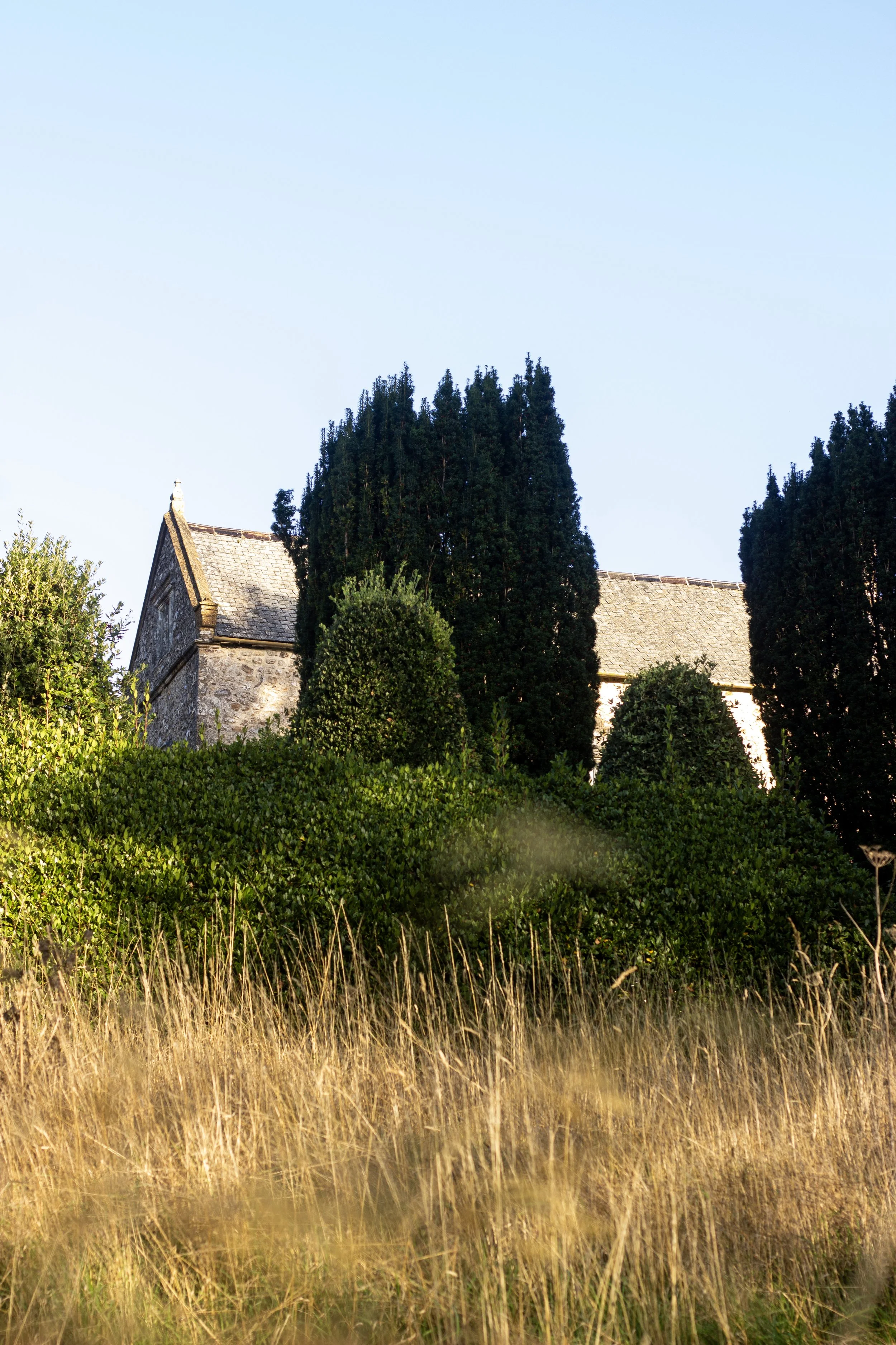 A stone church building partially obscured by tall green trees and golden grass in the foreground, under a clear blue sky.