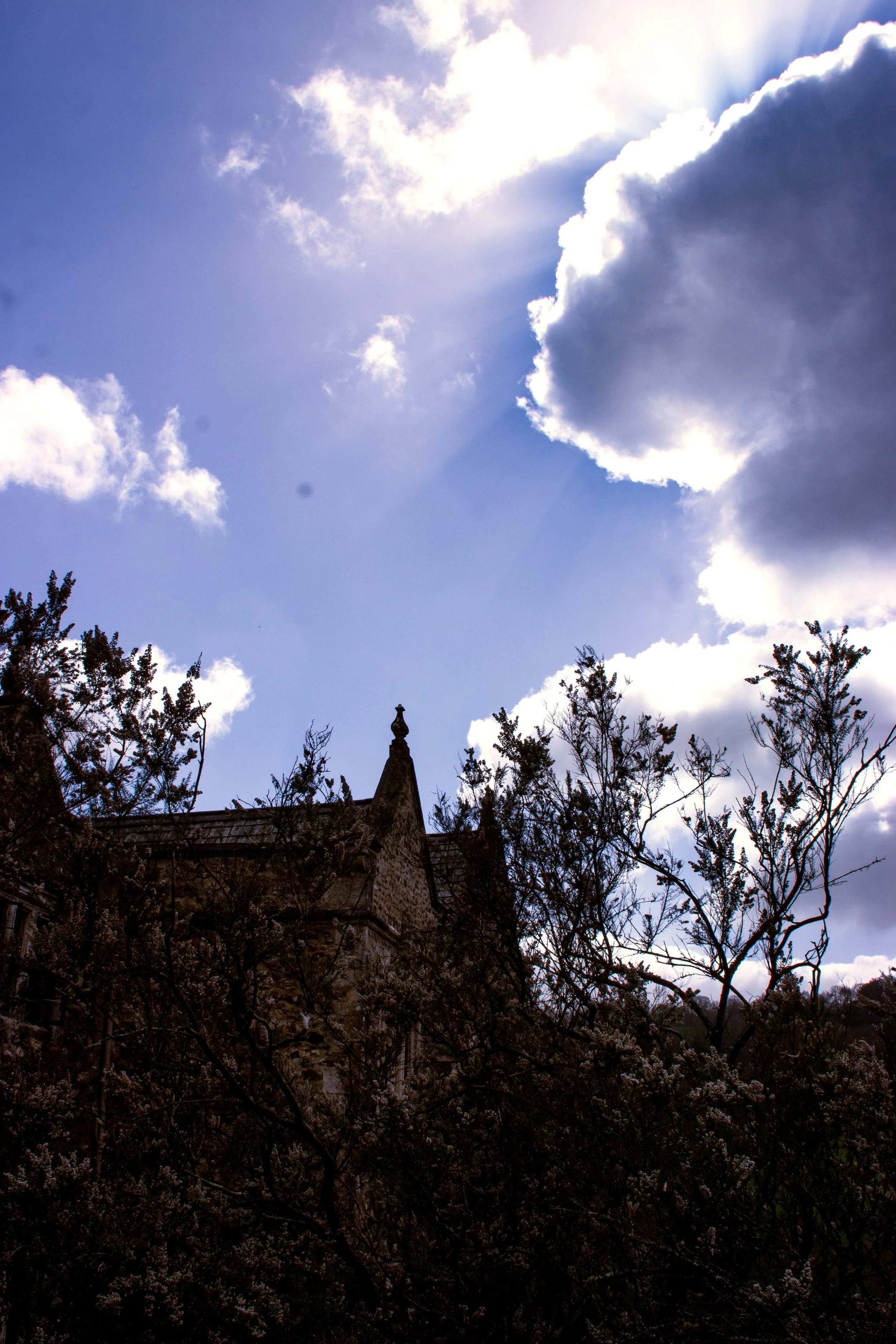 IMG_6445.jpg