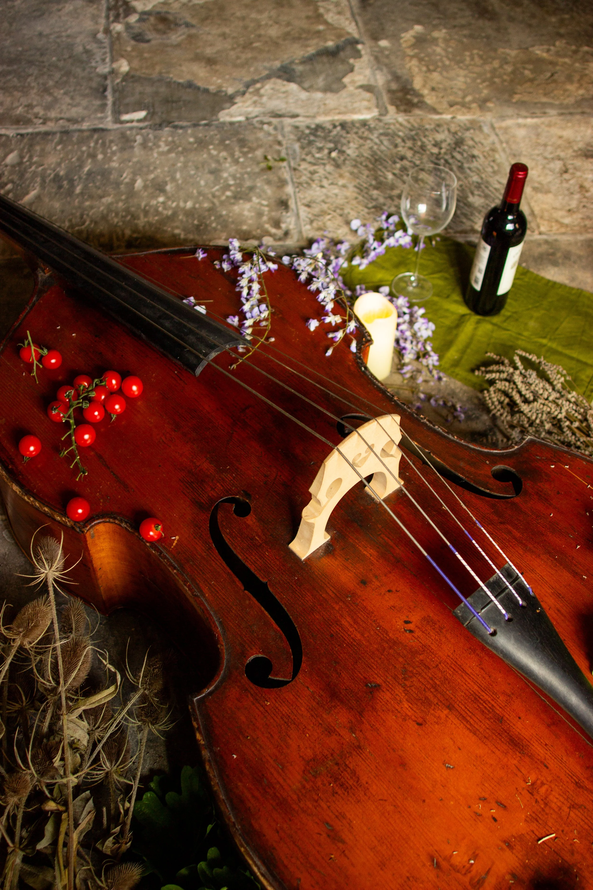 Vivaldi's Four Seasons