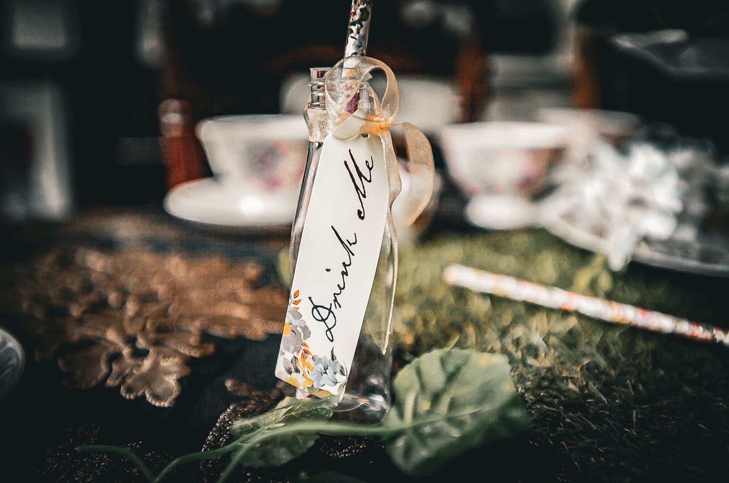 alice wonderland.jpg