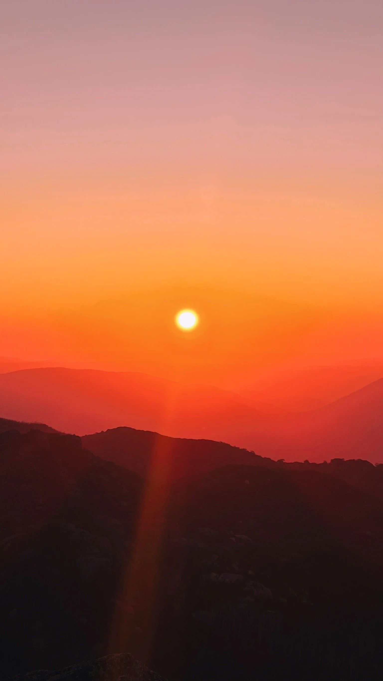 C3FFBEDF-7A04-41B2-9E75-4EA0D5C5DC67 (1).jpg