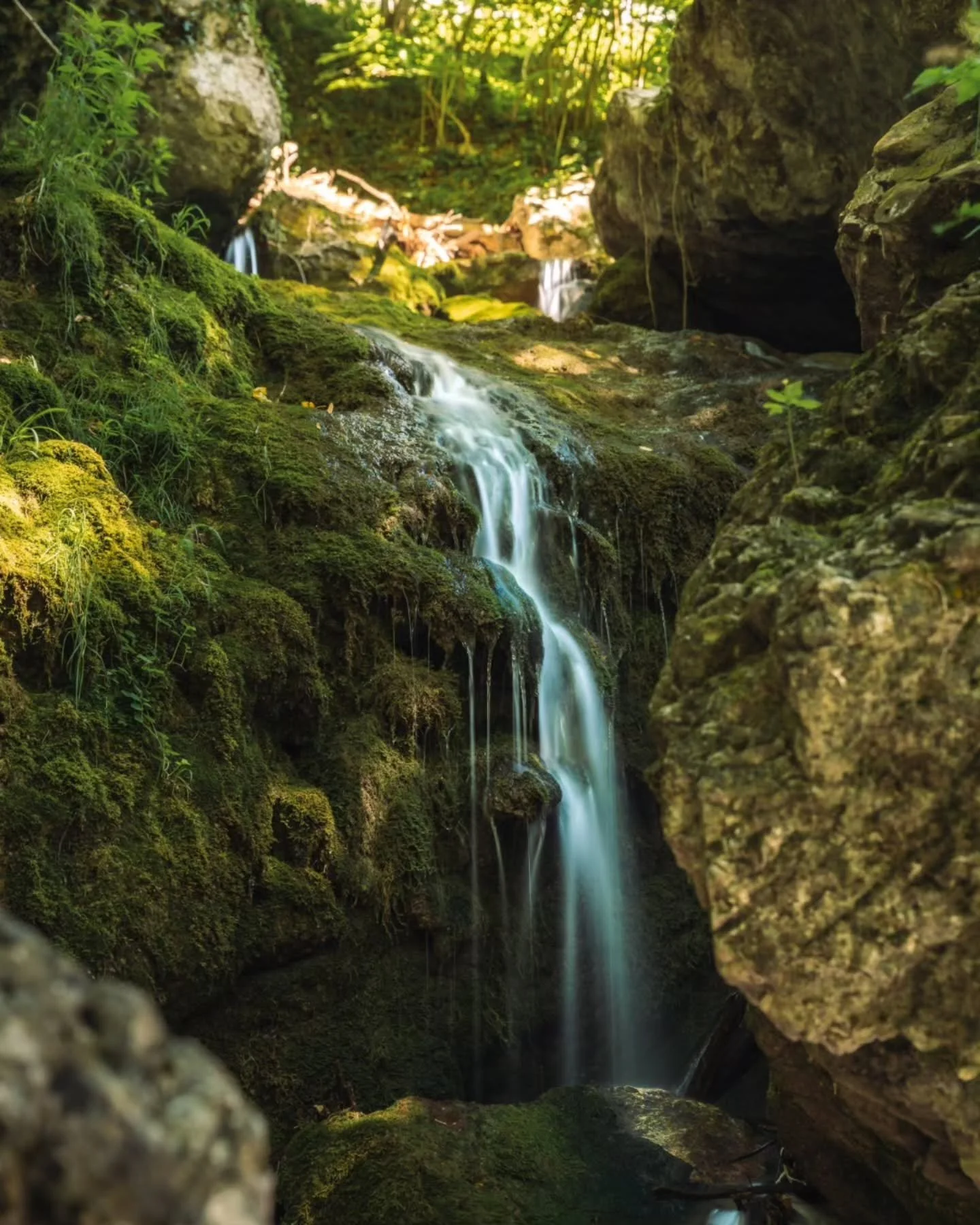 Happy World Photography Day!📷

To celebrate I thought I share what it takes to get from an image out of camera to the final result. Taking the photo is one thing but the real magic happens in the editing!🖌️
Due to the environment I wasn't able to g
