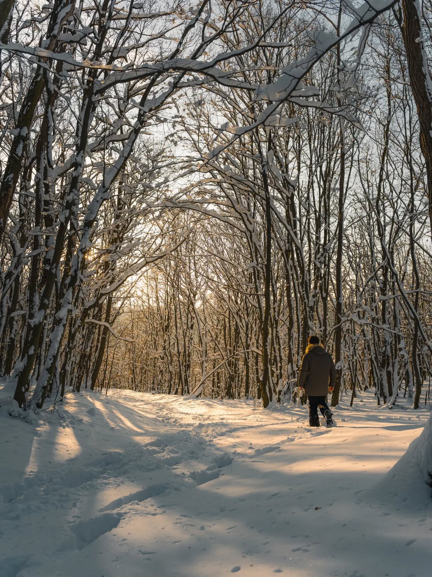 Some frames from last Friday. Over night we got about 20 cm of fresh snow covering the landscape in a soft and calm blanket for most likely the last time this winter. With the temperatures rising again in the following days I knew it's now or never t