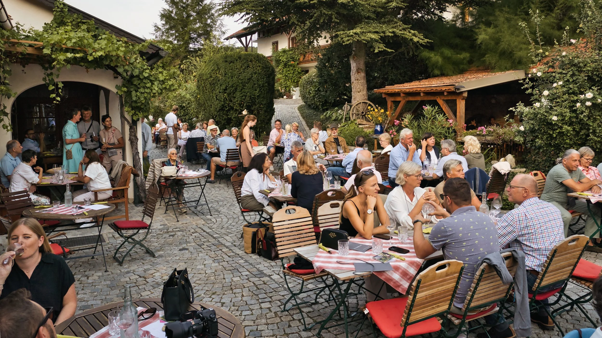 Konzert Weingut Harm (6) - Kopie - Kopie.jpg