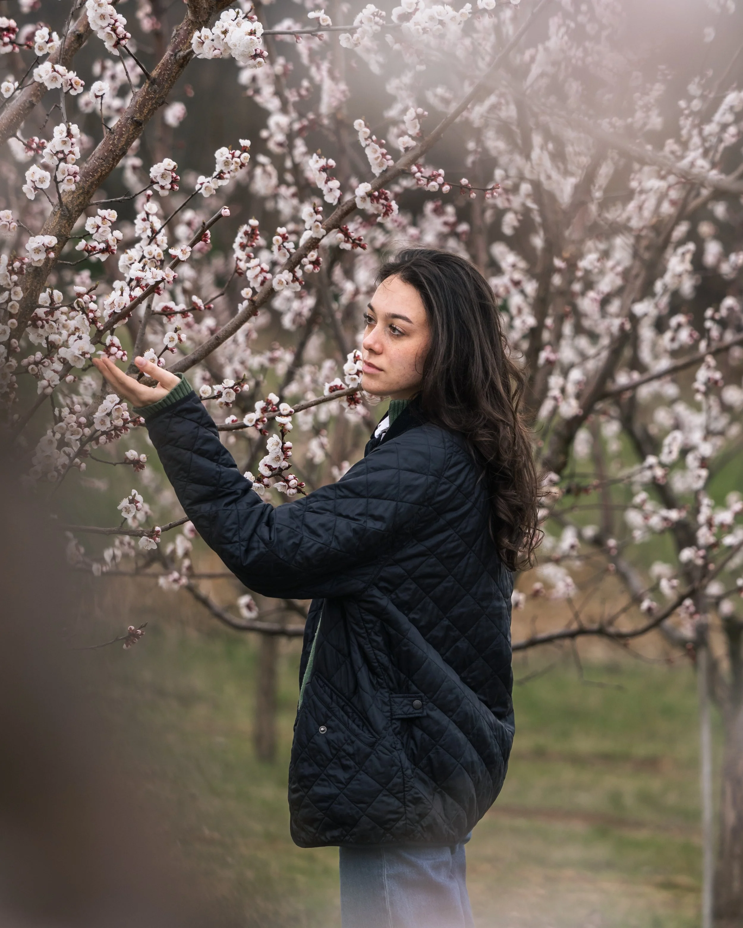 Cora Marillenblüte-61.jpg