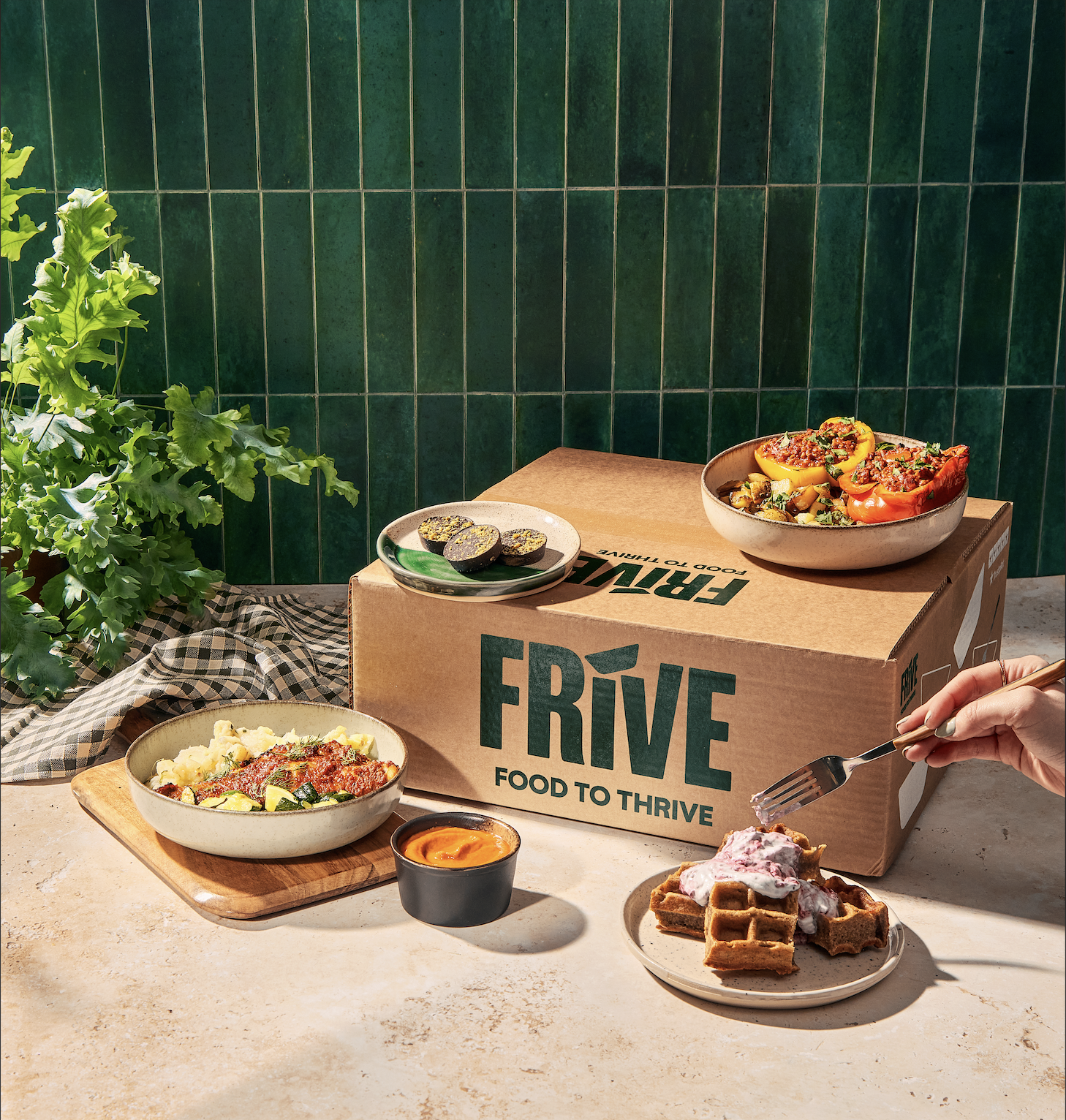 Frive Brand Relaunch
