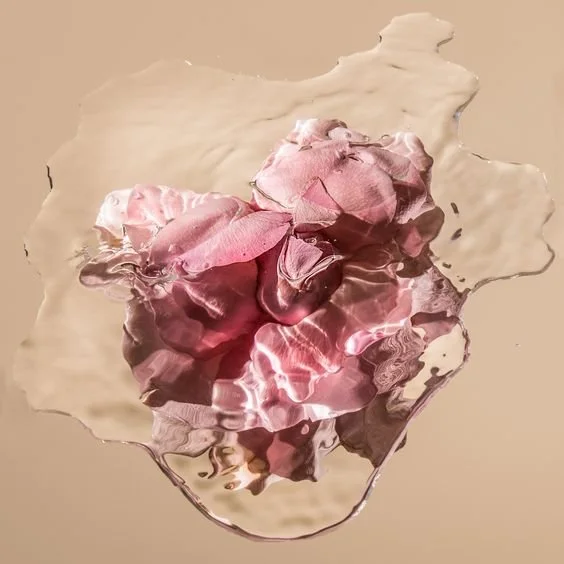 The transformative effects of plant AHAS