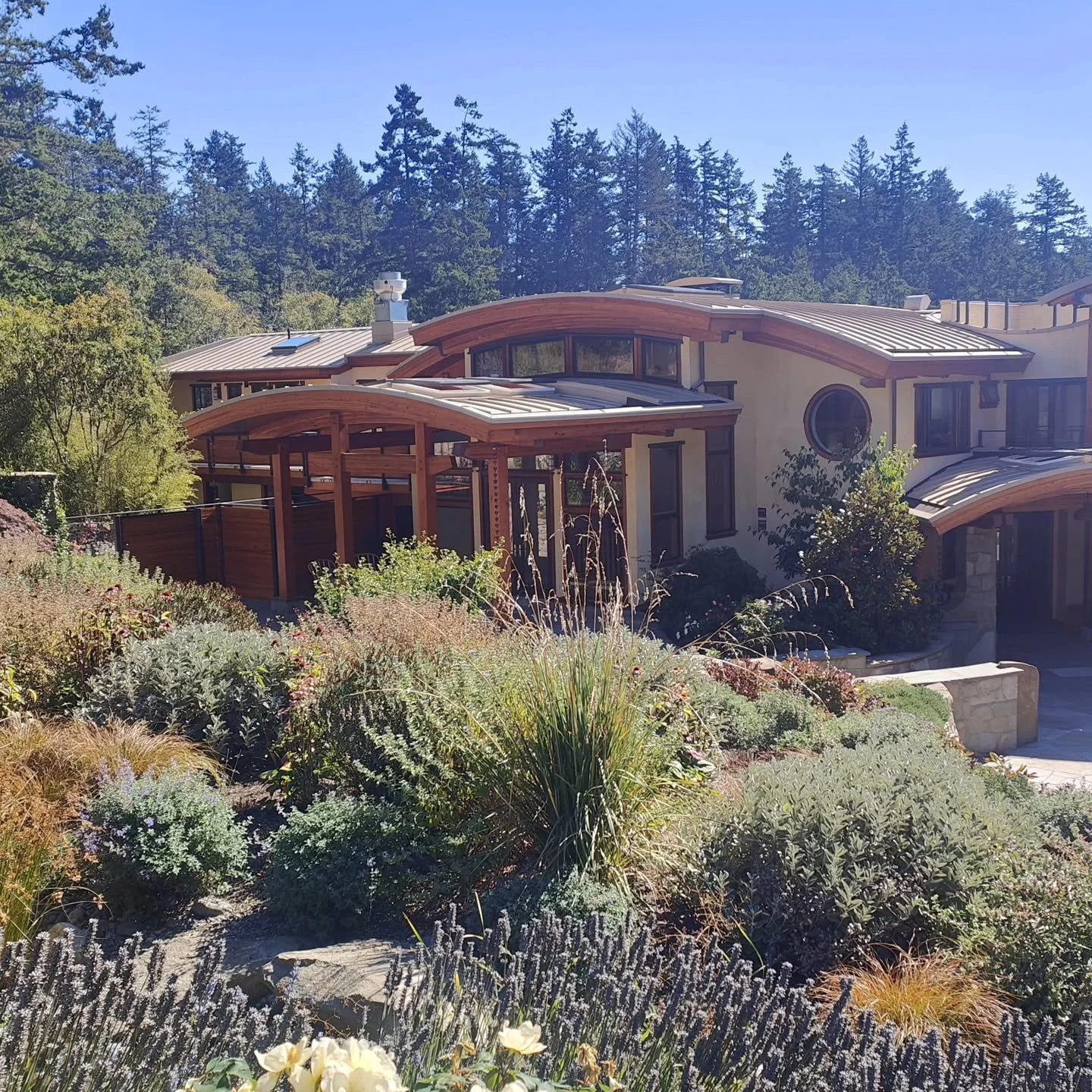 On retreat - sharing a few snaps of the 5 day experience on Salt Spring island 

Light Water Cove ✨

When we arrived at Light Water Cove, what was immediately evident was how perfectly aligned the location was for elevation.
Built upon the quartz-inf