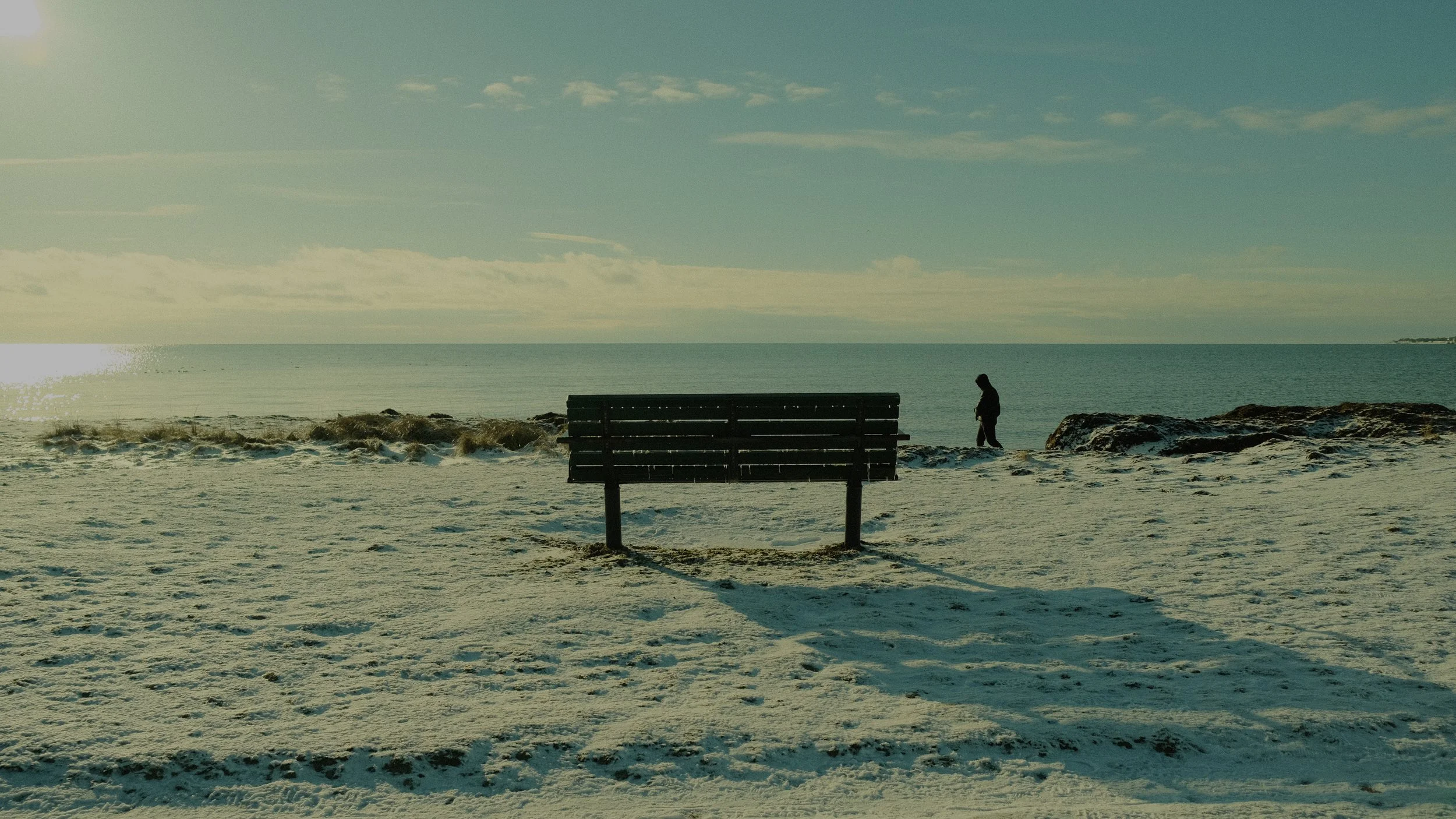 THE BENCH - WHERE WISDOM IS FOUND