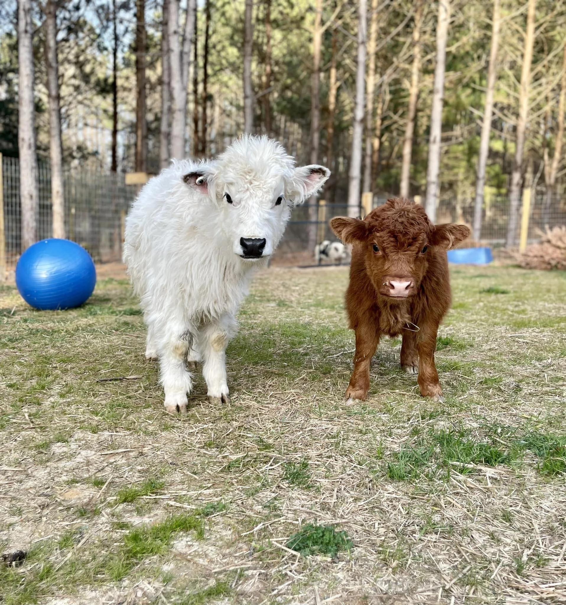 Hersh Farm