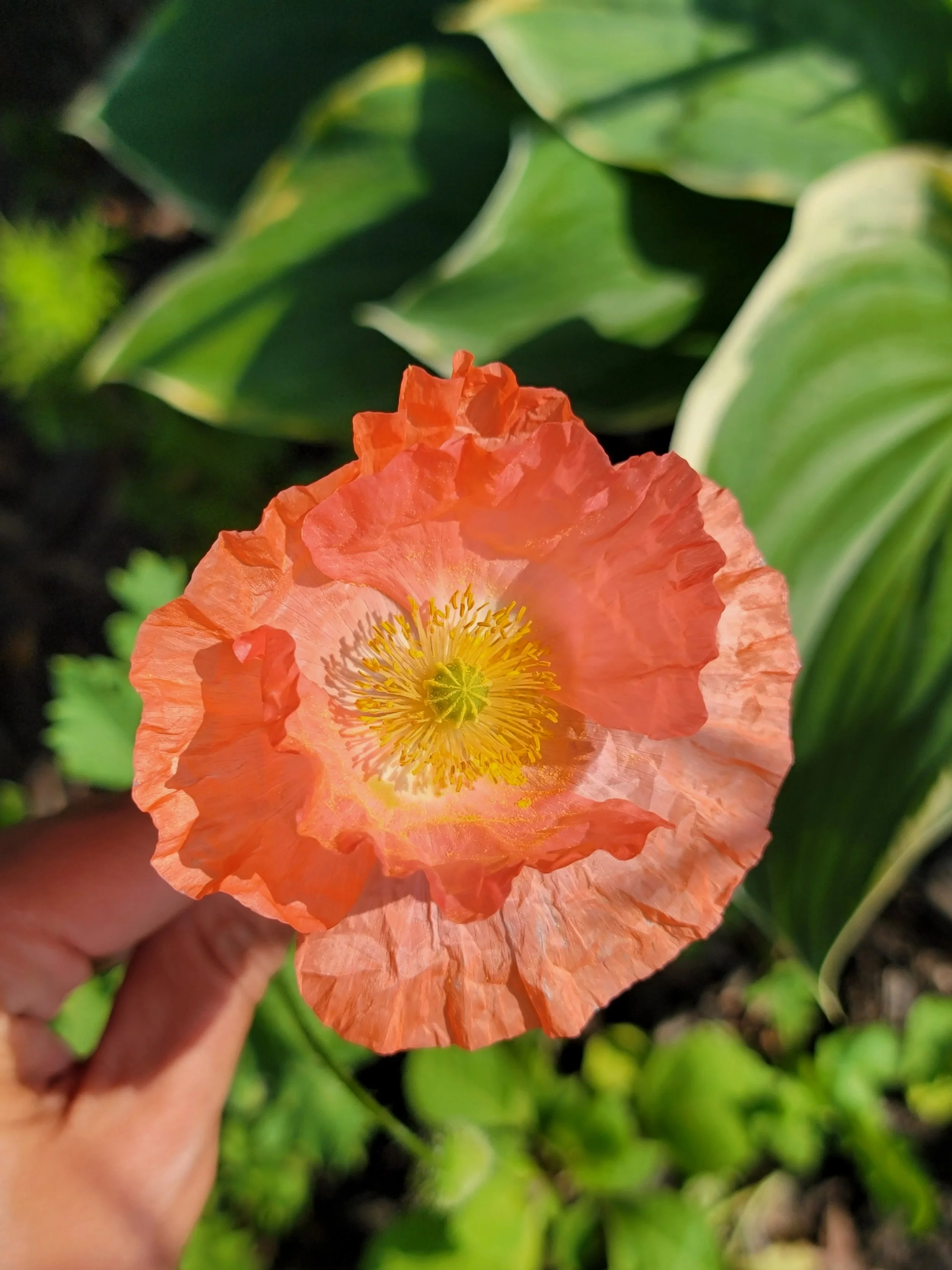 20230727_175710 (1).jpg