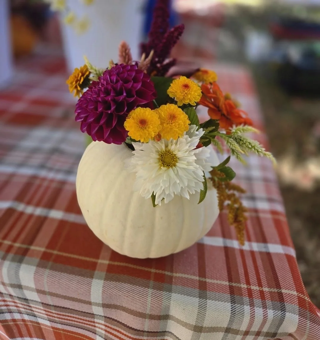 Harvest Pumpkin Bouquet #3 @ Oxford Farm Corn Maze