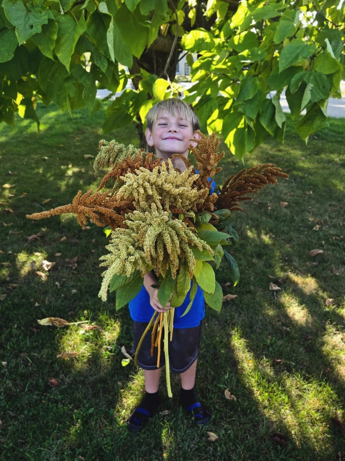 Giant Hot Biscuits for some fall fun 😍🎃🍁🧡 
Adorable model 

#amaranth #hotbiscuit #lockhartlaneseedflowerfarm #flowerfarm #michiganflowers