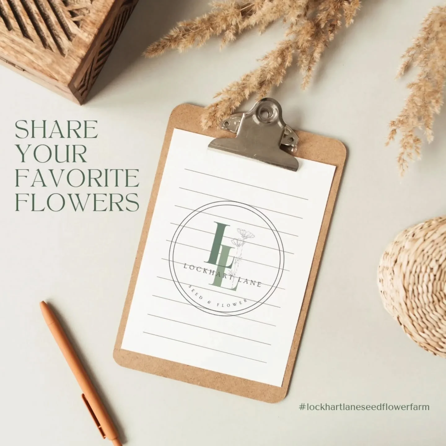 Dreaming Ahead 🌼

As we start wrapping up the 2025 season, we&rsquo;re already dreaming (and planning!) for a GORGEOUS 2026 ✨

We&rsquo;d love your input! 💬
What would you like to see us grow more of &mdash; or something brand new &mdash; next year