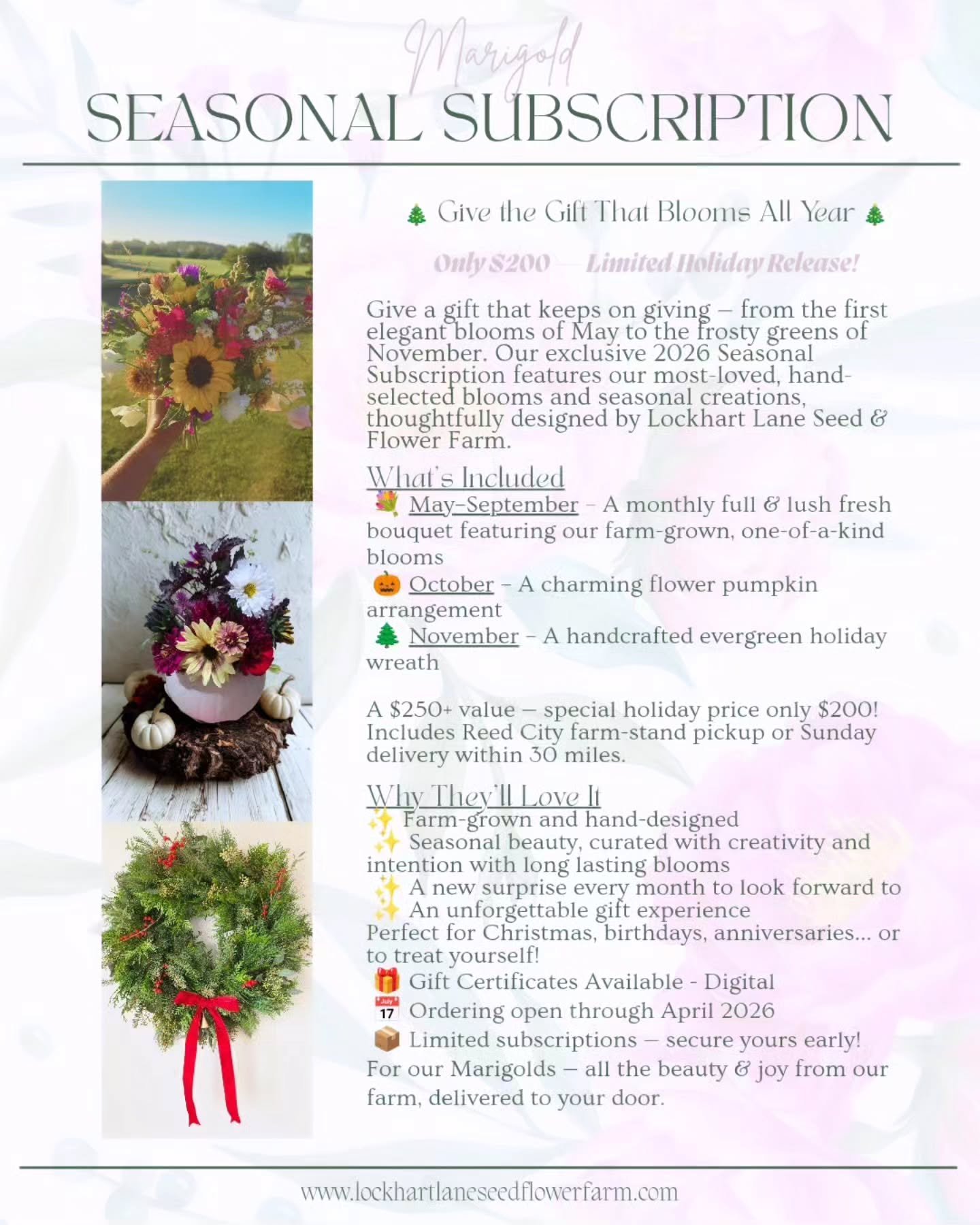 🌼 The Perfect Gift for Your Favorite Marigold 🌼
Where flowers become the gift that keeps on giving &mdash; all through 2026.

Looking for something meaningful, memorable, and overflowing with beauty?
Give the gift of our Marigold Subscription &mdas