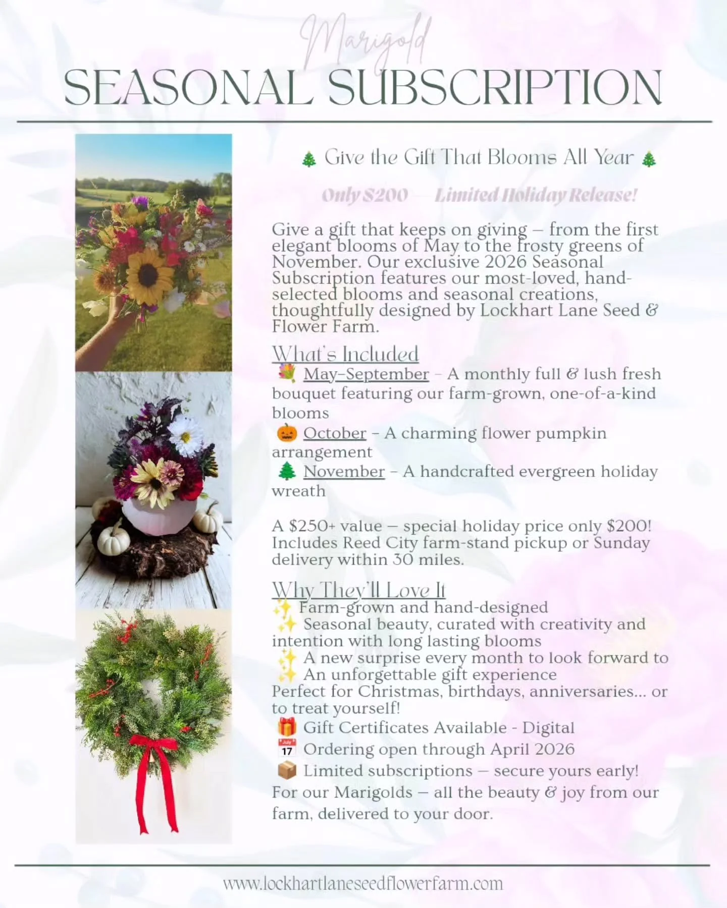 🌼 The Best Gift for Your Favorite Marigold 🌼

Give a gift that lasts far beyond the holidays &mdash; flowers all through the 2026 season. Our Marigold Subscription delivers monthly joy from May through November, featuring our most beautiful, handcr