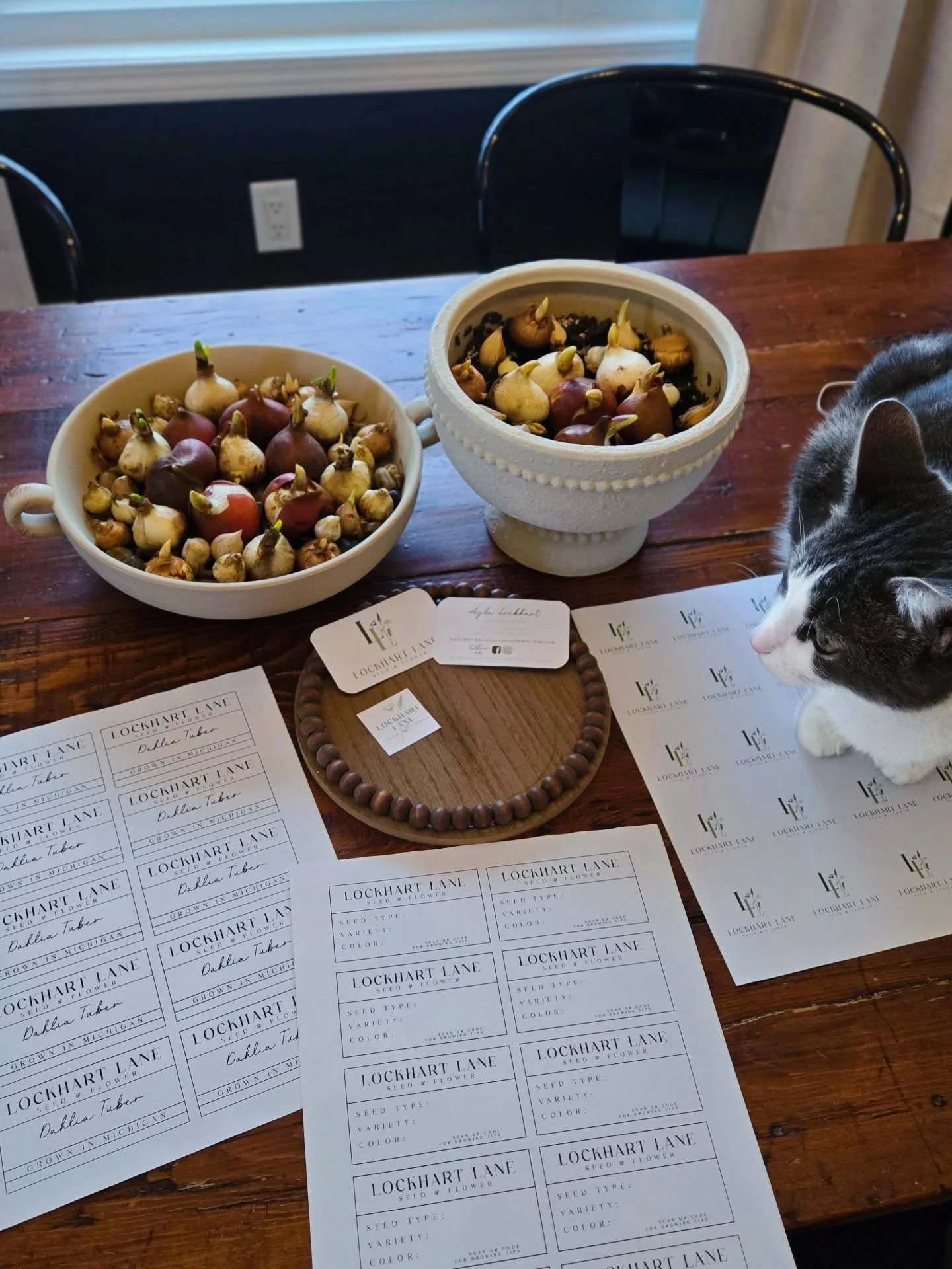 As we lean fully into intentionality full on Buffalo style 🦬 it is a core value to support, connect with, and learn from other women who are building incredible businesses right here in Michigan.

Today, I am so grateful for Chandra at @paperbarnllc