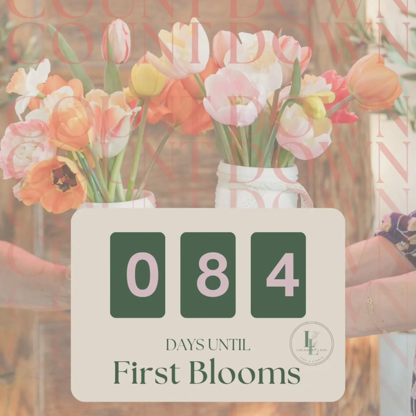 Ohhhh it&rsquo;s getting real now 🌷

Anyone else starting the countdown?!
Here in Zone 5a &ndash; Reed City, MI we might still be bundled up&hellip; but spring is officially on our minds and we have some GOOD things coming your way 💐

✨ Happening N